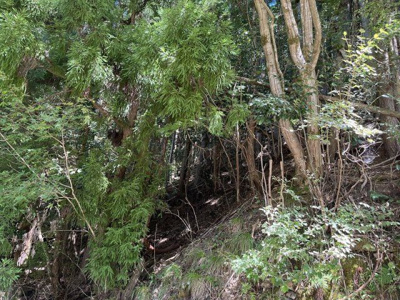 【周辺】 | 京都府舞鶴市字長谷