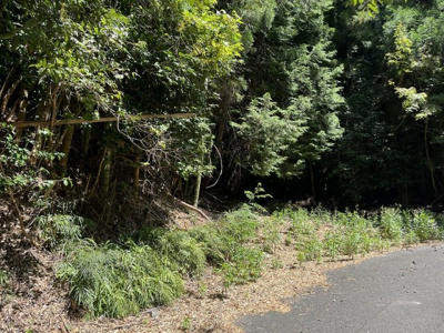 【周辺】 | 京都府舞鶴市字長谷