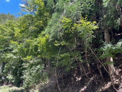 【周辺】 | 京都府舞鶴市字長谷