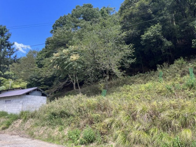 【周辺】 | 京都府舞鶴市字長谷