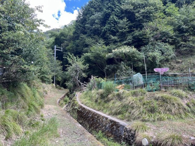 【周辺】 | 京都府舞鶴市字長谷