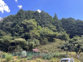 【周辺】 | 京都府舞鶴市字長谷