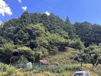 【周辺】 | 京都府舞鶴市字長谷