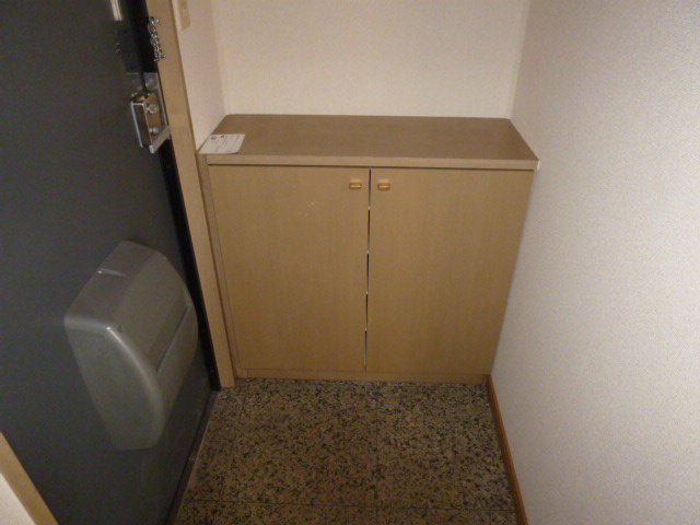 レイモンドサンヴィレッジＡの玄関