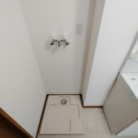 ル・ソレイユのその他