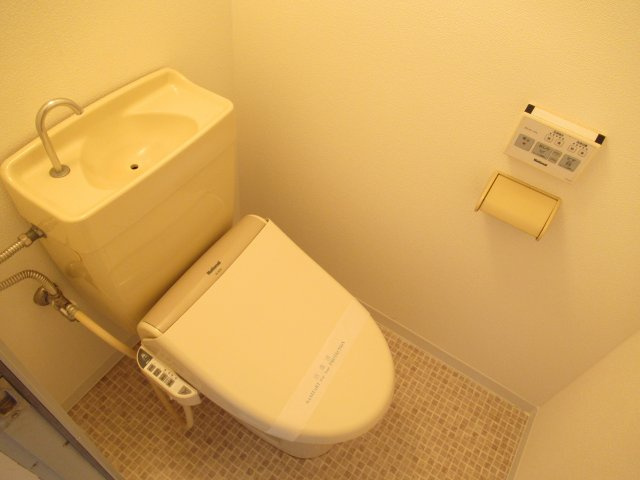 プラザドゥスパドールのトイレ