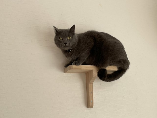 プラザドゥスパドール