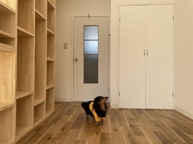 プラザドゥスパドールの内装