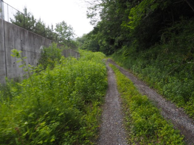【周辺】 | 加東市天神　山林