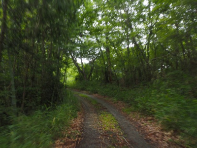 【外観】 | 加東市天神　山林