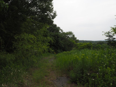 【外観】 | 加東市天神　山林