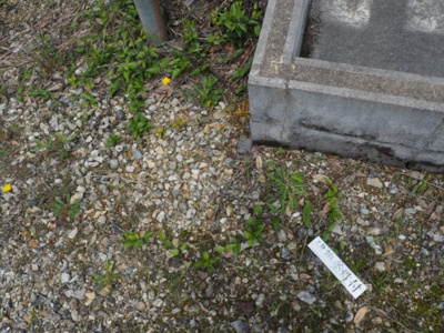 【外観】 | 加東市畑　土地1