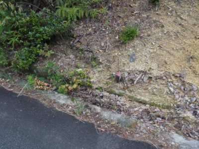 【外観】 | 加東市廻渕　土地1