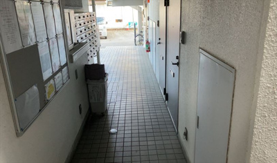 【その他共用部分】 | スカイコート橋本第一 | 共用部分は、一棟の建物に住む区分所有者全員が共同で所有するとし、共用部分の管理、補修などは、区分所有者で形成される管理組合が行います。個人の判断で勝手に変更することはできませんので覚えておきましょう。