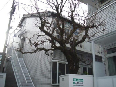 【外観】 | ブリティホワイトパレスⅡ