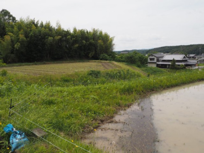 【外観】 | 加東市上久米　農地