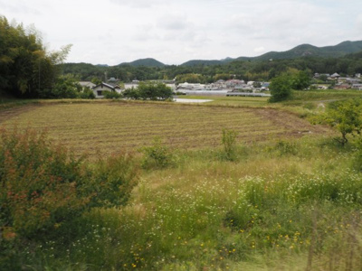 【外観】 | 加東市上久米　農地
