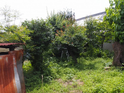 【周辺】 | 加東市下三草　土地