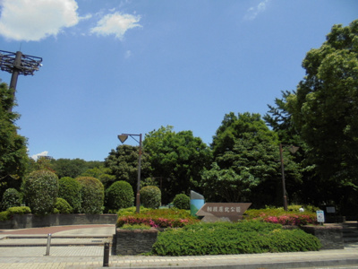 公園