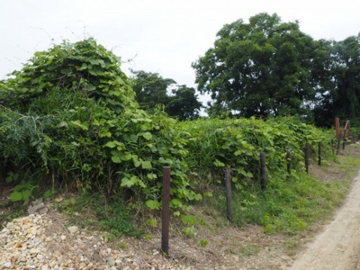 【外観】 | 小野市浄谷町　土地1