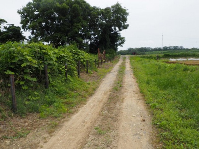 【外観】 | 小野市浄谷町　土地1