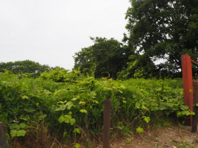 【外観】 | 小野市浄谷町　土地1