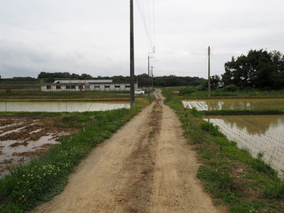 【外観】 | 小野市浄谷町　水耕栽培