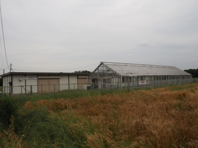 【外観】 | 小野市浄谷町　水耕栽培