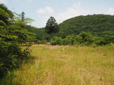 【外観】 | 丹波市氷上町福田　土地