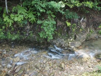 【周辺】 | 丹波市氷上町福田　土地