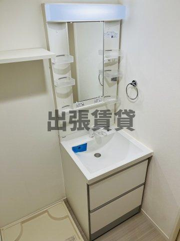 クリークコートⅡの洗面所