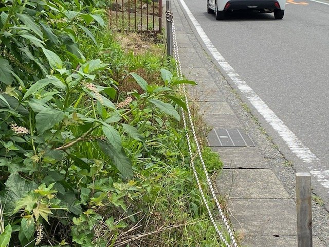 【外観】 | 人が暮らすうえで日光は大切な要素となります。日当たりの良さは譲れないポイントですね。併せて近くに大きな建築物の建築予定がないか、あるいはそれが可能な土地が近くにないか事前に確認することもお勧めします。