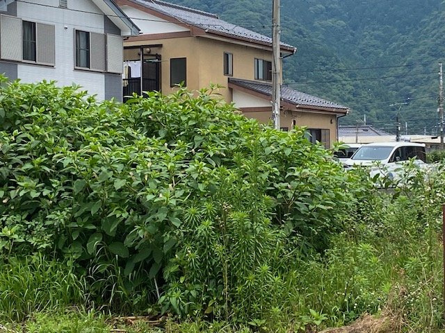 【外観】 | 土地の形が極端に長細かったり、狭小地、あるいは道路との高低差がある傾斜地だった場合、後々売ろうとしても買い手がつかない場合もあります。後々、売却することになった時に価値の下がらない土地を選びましょう。