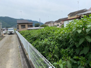 相模原市緑区中野の売地の画像