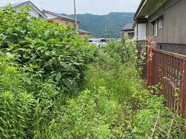 【展望】 | 桜や紅葉の名所に出かける人は多いと思いますが、家にいながら季節の移ろいを感じる生活を送りませんか？リビングや窓から見える景色が生活を彩るワンポイントに！現地から見える景色を堪能してみては如何でしょう。