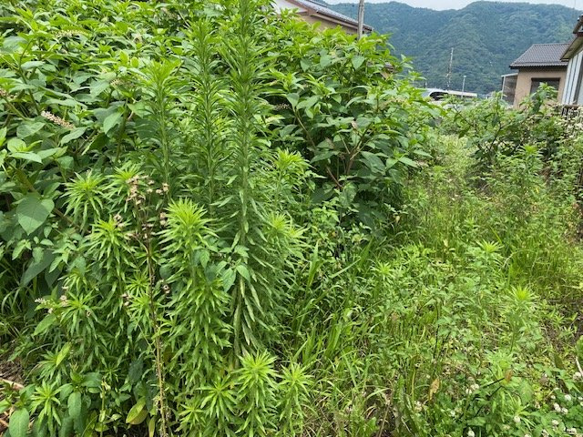 【外観】 | 物件の詳細については、現地を見てわかること以外に、役所や法務局などで調べないとわからないことがあります。そのため、現地に行く場合は、もしこの物件を買ったらどのような生活ができるかをイメージしましょう。