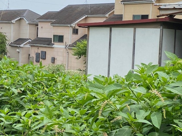 【外観】 | 隣家の土地はどうなっているのか、生活利便施設が近くにあるのか、学校まで近いかなど、お客様のライフスタイルにあわせたイメージが重要です。また、近くにあると困る施設が近くにないかも確認するといいでしょう。