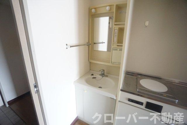 カーサ弐番丁の洗面所