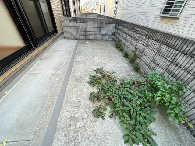 ルミエールの庭