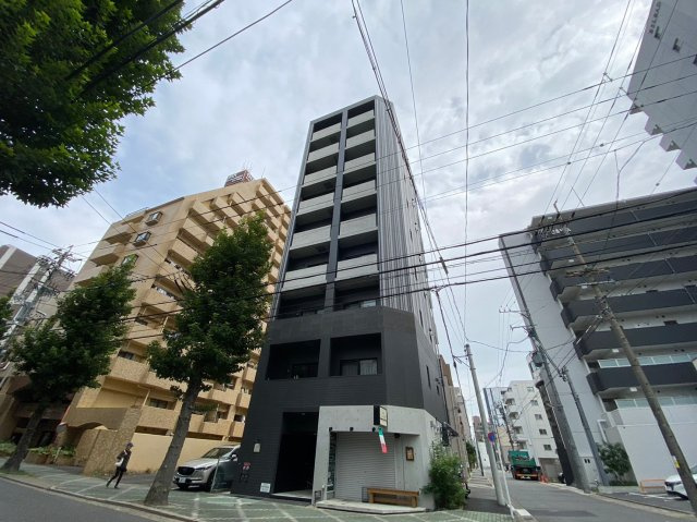 Trive金山