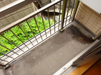 【バルコニー】 | ジュネス青葉台
