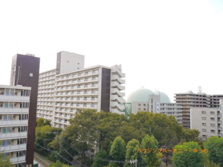 【展望】
