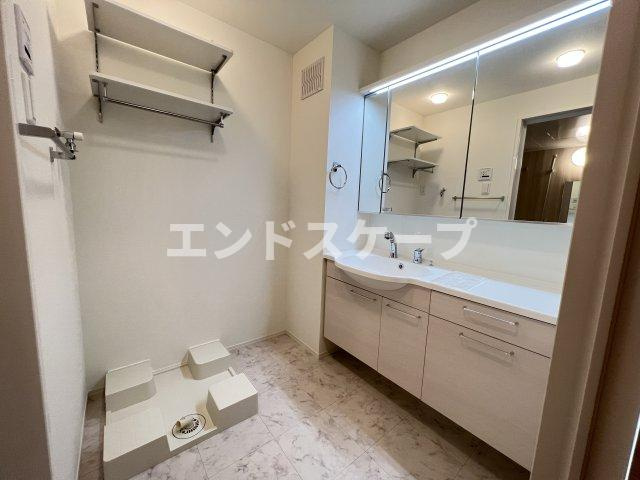 ライスの独立洗面台|高崎、前橋エリアのお部屋探しはエンドスケープまで！お客様の理想お聞かせ下さい♪