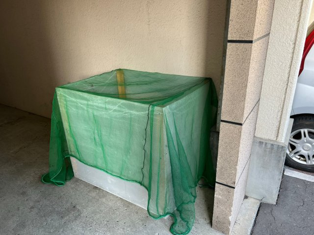 【その他共用部分】 | ケンタク北16条ビル | ゴミ箱