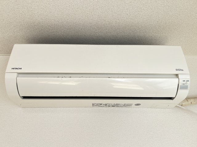 パインニードルの設備