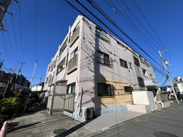 パインニードルの外観