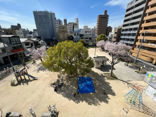 NomaZen BLDの展望