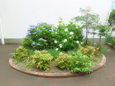 【その他共用部分】 | 加島第3マンション | 階段前の花壇です。６月にはアジサイが咲きます。