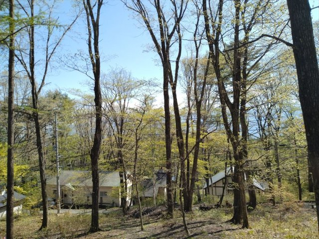 標高1100m以上の自然豊かな八ヶ岳山麓大泉別荘２DK（リフォーム）の展望