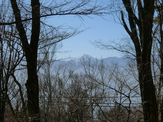 標高1100m以上の自然豊かな八ヶ岳山麓大泉別荘２DK（リフォーム）の展望